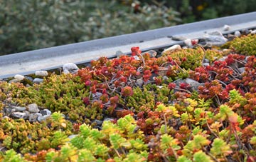 the cost of Low Marishes green roof installation