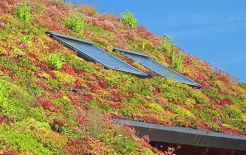 Low Marishes living roof systems