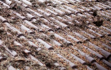 Low Marishes roof cleaning companies